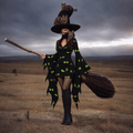 Women's Gothic Halloween Print Batwing Flare Sleeve V Neck Bodycon Dress – Halloween Costume